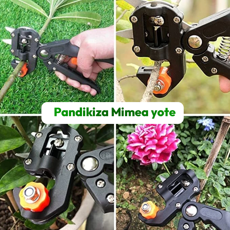 Grafting Machine 1
